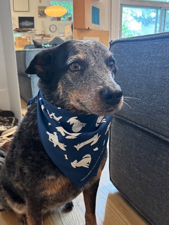 Bandana - "Dog Days of Ontario Culture Days"